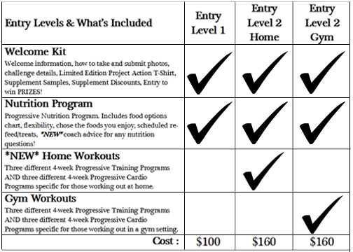 Project Action Entry Levels