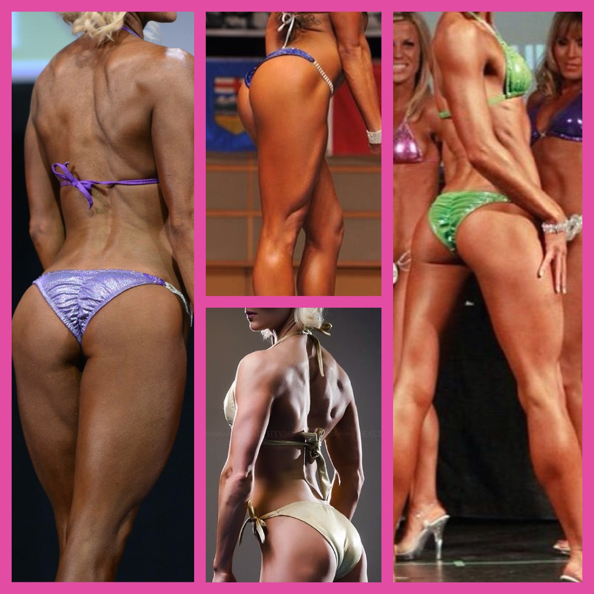 Brandt's Booty Beauties booties